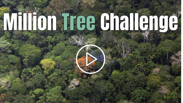Million Tree Challenge