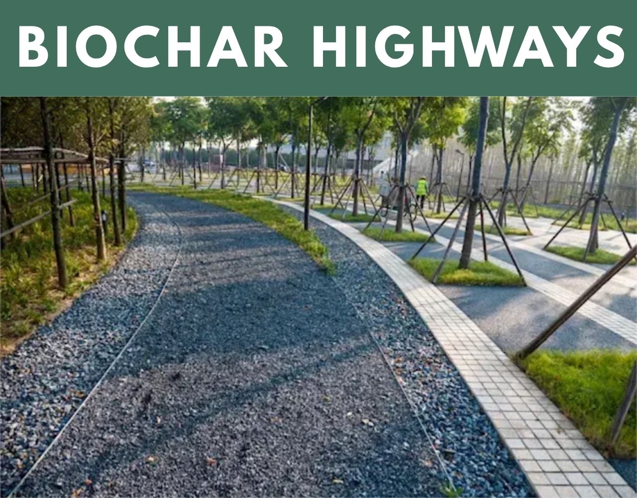 55 USES OF BIOCHAR (3)