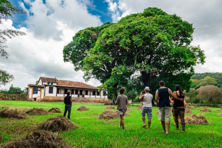 Permaculture Business Builder Course