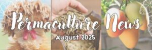 2025 August Permaculture Newsletter