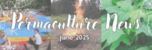 2025 June Permaculture Newsletter