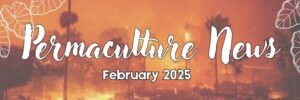 2025 February Permaculture Newsletter
