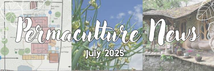 2025 July Permaculture Newsletter