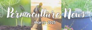 2025 March Permaculture Newsletter