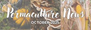 2025 October Permaculture Newsletter