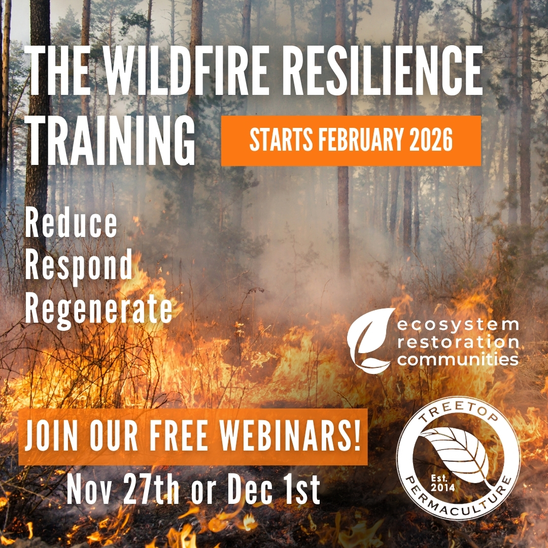 Wildfire Resilience Training Permaculture Institute Of North America