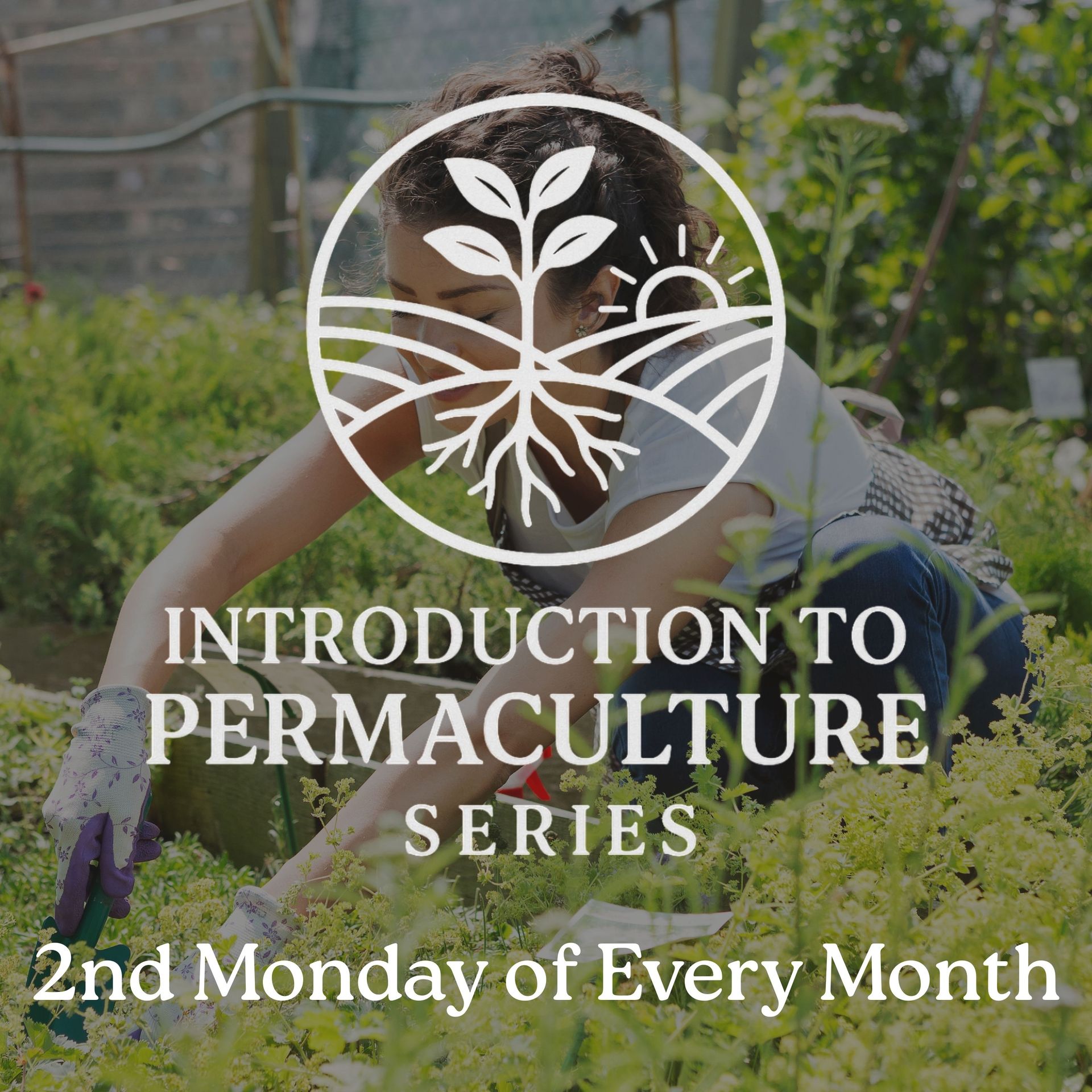 550222798_1240537374783550_6524929211419825627_n