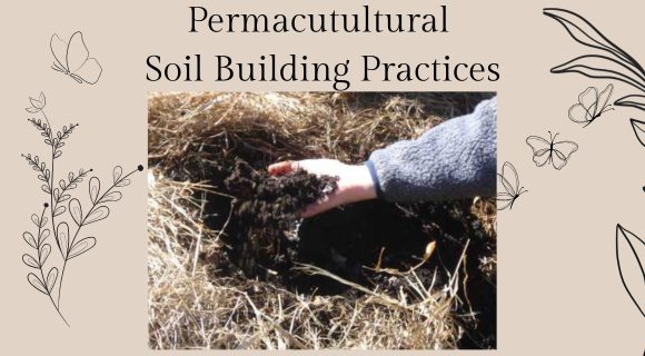 Permacultural SOIL BUILDING PRACTICES
