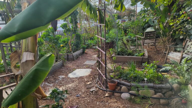 "Saving the world, from your backyard" Permaculture-ish course